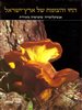 קראו בכותר - החי והצומח של ארץ-ישראל : אנציקלופדיה שימושית מאויירת - כרך 9 -  צמחים חסרי פרחים