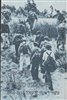 קראו בכותר - מ"ולוס עד טאורוס" : עשור ראשון להעפלה בדרכי הים 1934­-1943