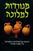 קראו בכותר - מנוודות למלוכה : היבטים ארכיאולוגיים והיסטוריים על ראשית ישראל