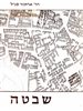 קראו בכותר - שבטה : תכנית ואדריכלות של עיר ביזנטית בנגב